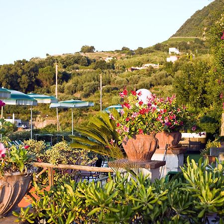 Hotel Poggio Del Sole Forio di Ischia Restaurante foto